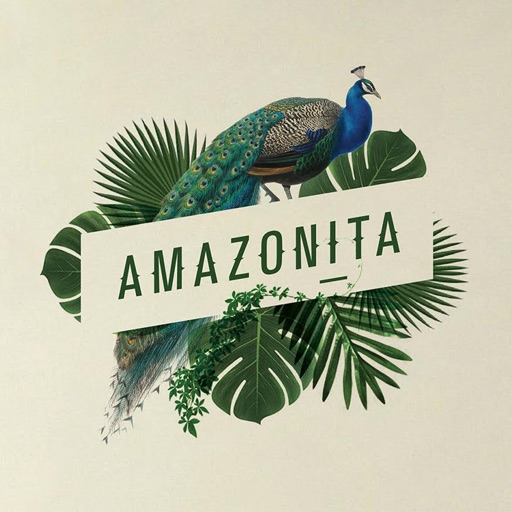Amazonita logo